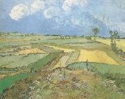 Vincent Van Gogh Wheat Fields at Auvers under Clouded Sky (nn04) oil